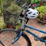 Bike Image 3