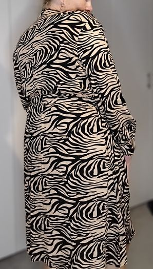 ladies dress