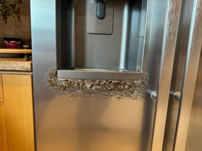 Samsung American fridge freezer