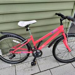 Ignite 24" Bicycle