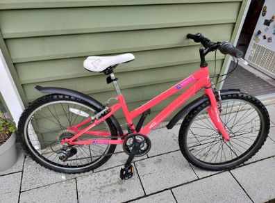 Ignite 24" Bicycle