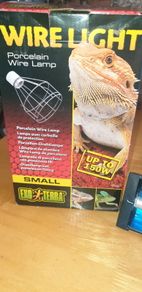 Vivarium lights