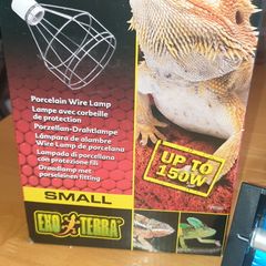 Vivarium lights