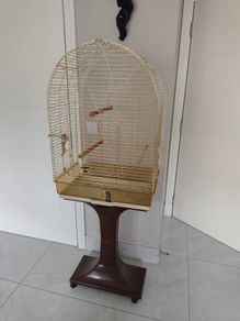 bird