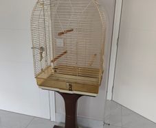bird