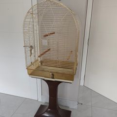 bird