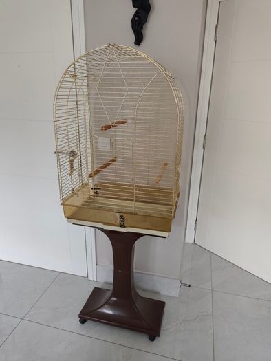bird