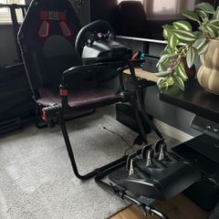 Logitech G29 + Cockpit Next Level Racing GTLine)