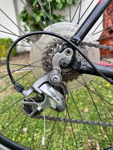 Spider Road Bike