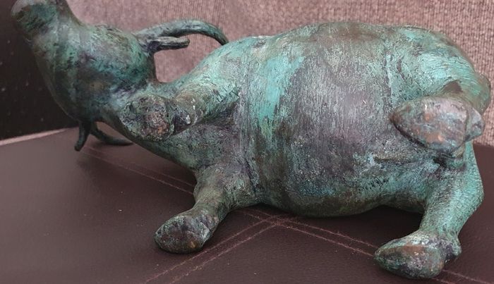 Cooper  cow (bull)