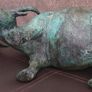 Cooper  cow (bull) Image 2