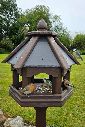 Bird Table feeders Slated Roof - colour choices