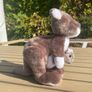 American Girl Kira's Kangaroo and Joey EUC Image 3