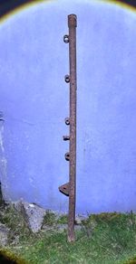 Antique cast iron fence post