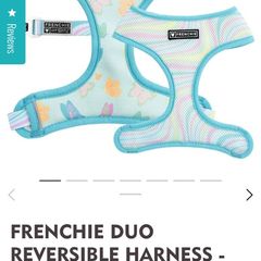 Frenchiebulldog harness