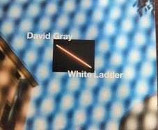 David Gray - White Ladder.