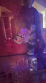 fish tank & fish