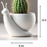 Decorative Snail Planter - Modern Minimal Succulent Pot Image 4