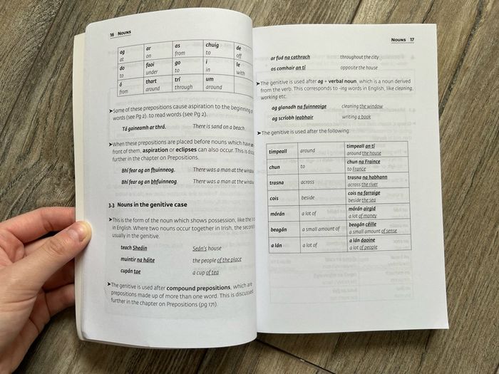 Collins easy learning Irish grammar