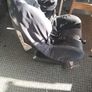 carseat Image 3
