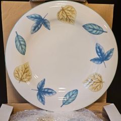 NEW St. Andrew by Royal Doulton "Foliage and Flowers"