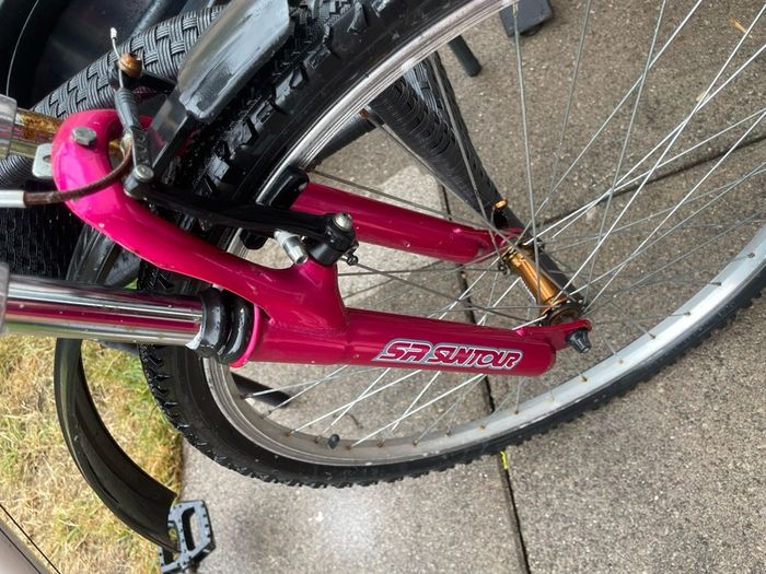 women's pink raleigh bike