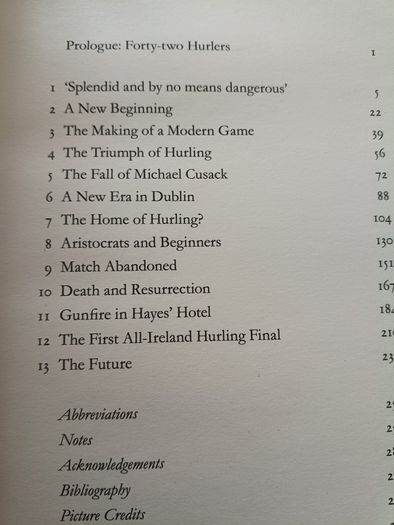 The Hurlers 2018 by Paul Rouse GAA book hardback with dustcover in very good condition FREE STANDARD POSTAGE INCLUDED