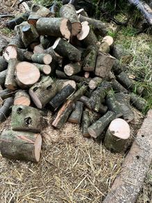 Fire wood