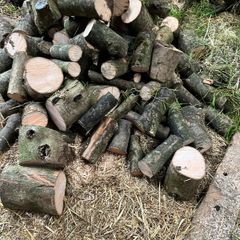 Fire wood