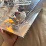 Monster High Bratz Doll Collection Bundle Collector Dolls Boxed Image 6