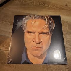 Lloyd cole Guesswork vinyl