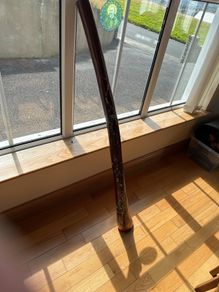 Hardwood Didgeridoo | Hand-Painted Goanna Artwork | Excellent Condition