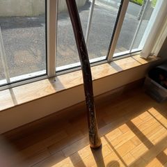 Hardwood Didgeridoo | Hand-Painted Goanna Artwork | Excellent Condition