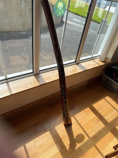 Hardwood Didgeridoo | Hand-Painted Goanna Artwork | Excellent Condition
