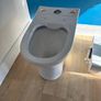 Toilet - brand new Image 2