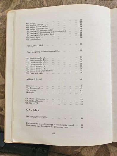 An Atlas Of Histology. By W.h. Freeman And Brian Bracegirdle. Second Edition Large Volume Hardback With Dustjacket.  Book In Good Condition.  Dustjacket Tatty.  See Photos For Same.