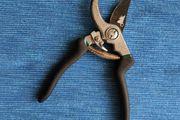 Secateurs