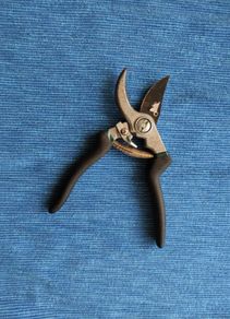 Secateurs