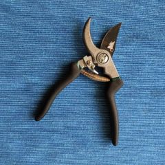 Secateurs