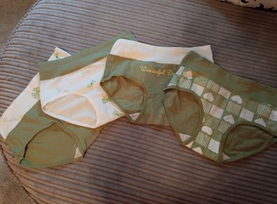 Girl's high waist briefs BRAND NEW