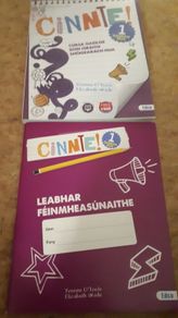 Cinnte 1 PLUS workbook, both unused