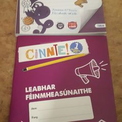 Cinnte 1 PLUS workbook, both unused