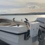 Fishing Boat with Engine Image 4