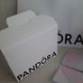 pandora pouch and bag Image 3