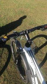 Giant Talon 2 White 29-inch Large Frame