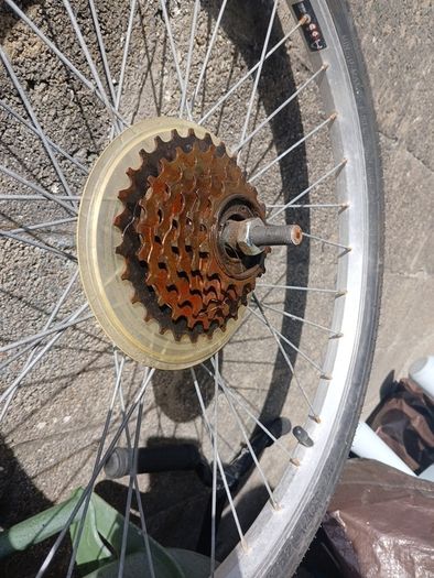 Rear bicycle wheel.