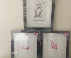 Framed Humorous Prints