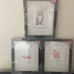 Framed Humorous Prints