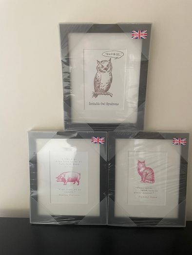 Framed Humorous Prints