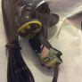 New Batman Earphones Image 2